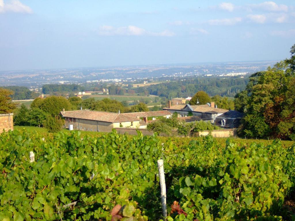 Château de Buffavent Denicé Extérieur photo