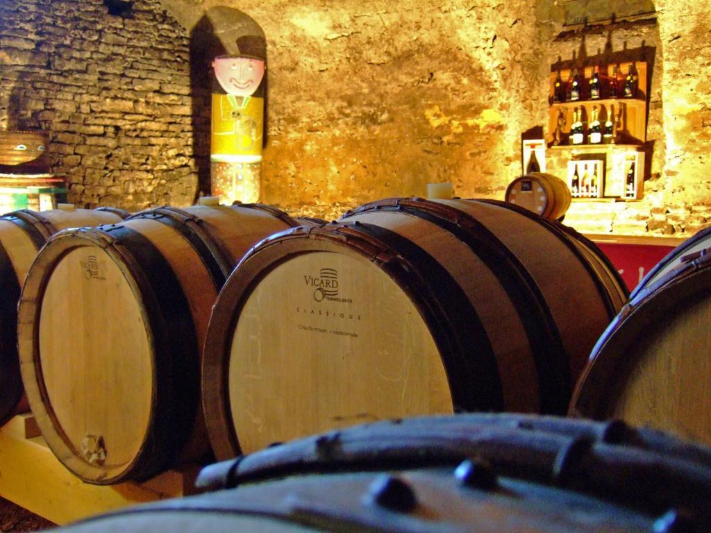 Château de Buffavent Denicé Extérieur photo