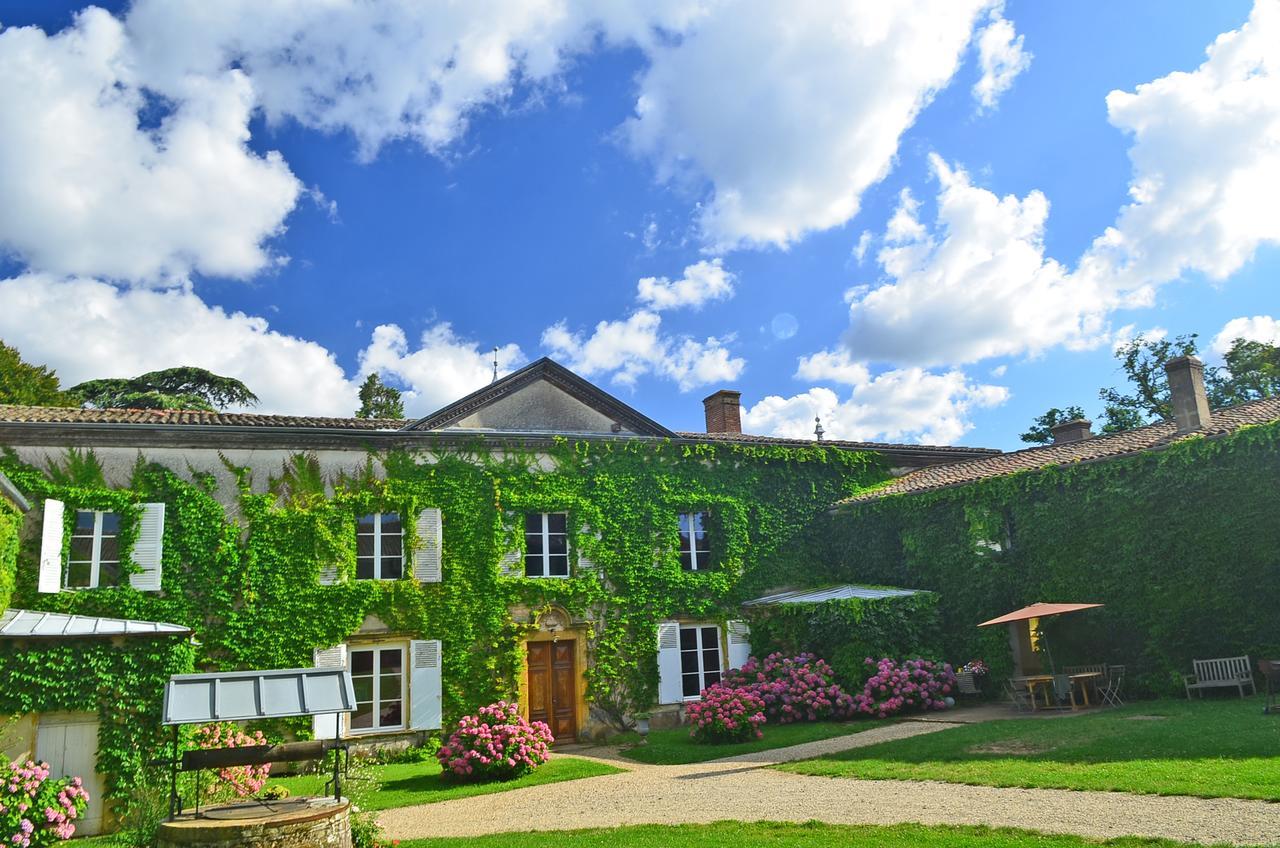 Château de Buffavent Denicé Extérieur photo